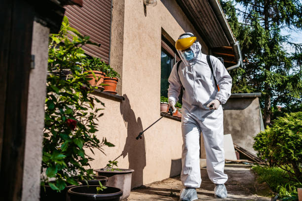 Best Residential Pest Control  in Superior, WI