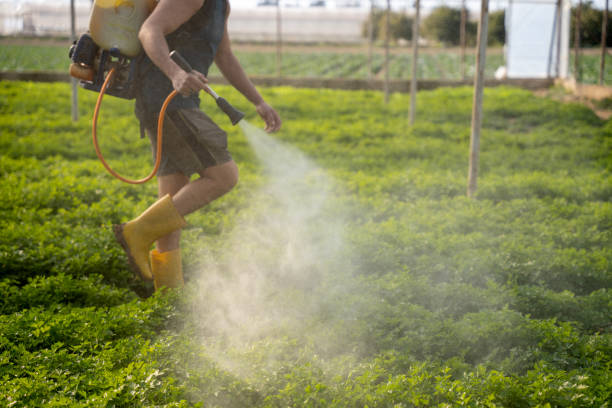 Best Wasp Removal Services  in Superior, WI