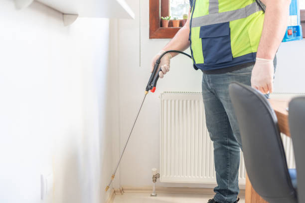 Best Ant Control Services  in Superior, WI